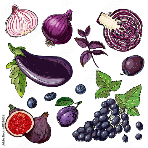 Purple. Vector food. Colored vegetables and fruits on a white background. Eggplant, cabbage, turnips, figs, onions, lavender, plum