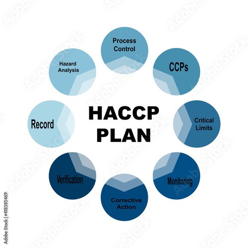 Diagram concept with HACCP Plan text and keywords. EPS 10 isolated on white background