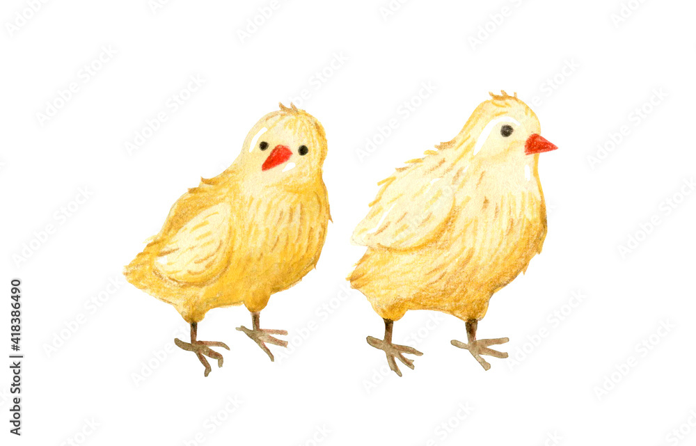 animal, art, artwork, baby, background, beak, bird, card, character, chick, chicken, cock, cockerel, collection, cute, drawing, drawn, easter, farm, farming, fluffy, food, fowl, free, hand, happy, hen