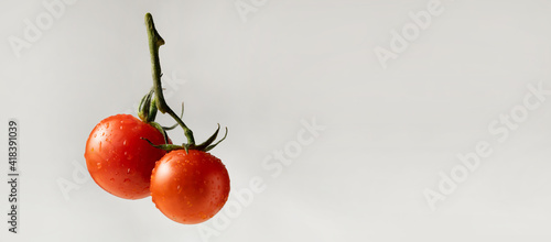 Small branch of cherry tomatoes in drops of water on a gray background. Close up, copy space