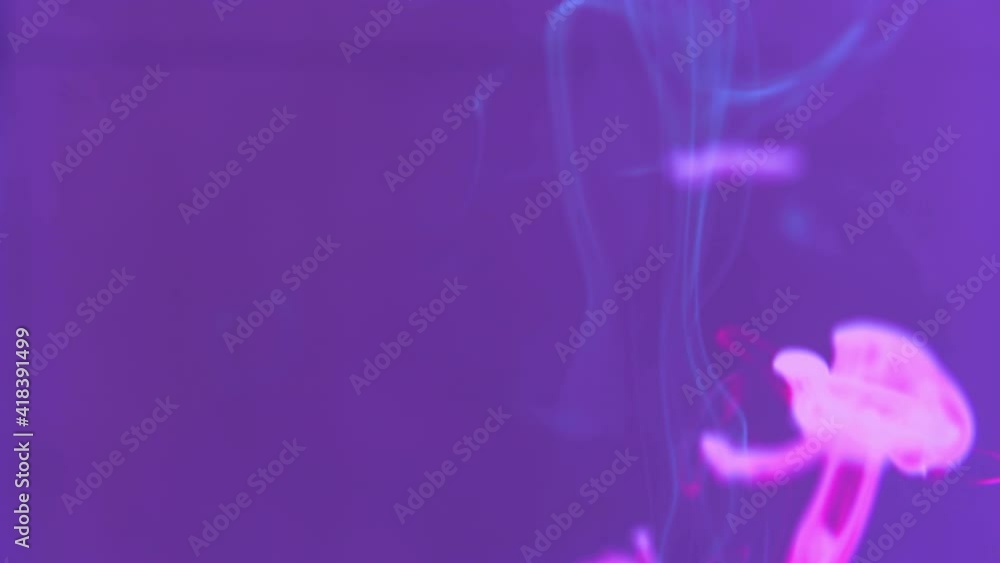 Abstract texture pink purple neon, fake jellyfish, Liquid Painting, is an amazing organic background for visual effects and motion graphics Abstract texture pink purple neon, fake jellyfish, Liquid Painting, is an amazing organic background for visual effects and motion graphics