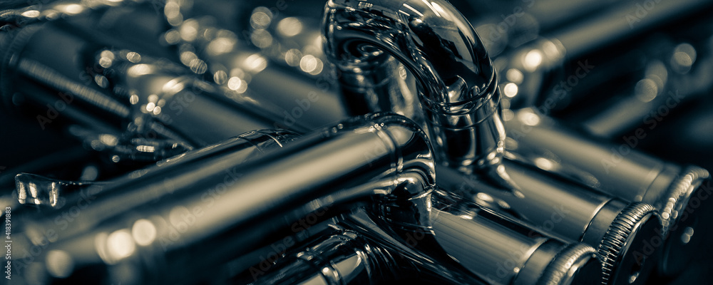 Fototapeta premium trumpet close-up