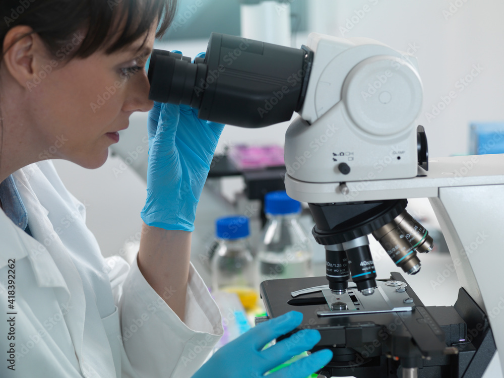 Medical testing of variety of human samples including blood and tissue under microscope in laboratory Medical testing of variety of human samples including blood and tissue under microscope in laboratory