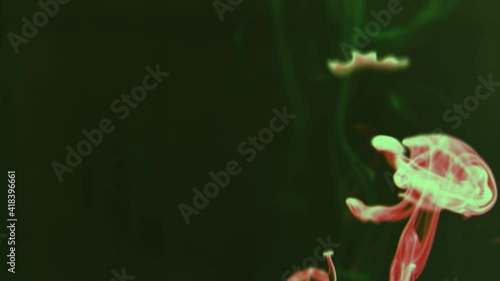 Abstract texture pink green neon, fake jellyfish, Liquid Painting, is an amazing organic background for visual effects and motion graphics