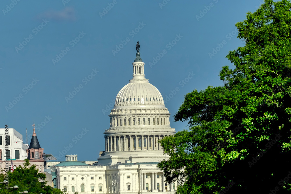 Fototapeta premium United States Capitol, Washington DC, USA.