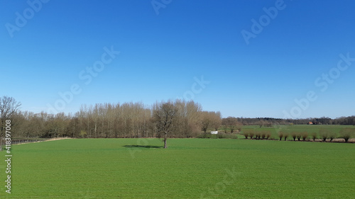 High angle view of agricultural field in springtime on the countryside of Flanders, Belgium