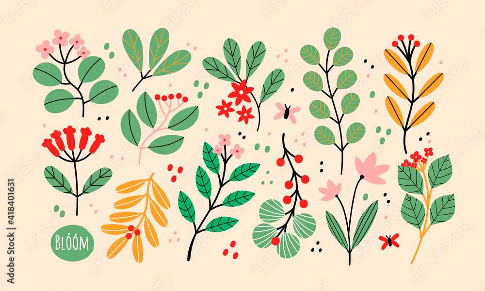 Various Branches with Flowers, Leaves and Berries. Hand drawn Vector ...