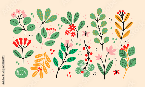Various Branches with Flowers, Leaves and Berries. Hand drawn Vector Set. Colorful trendy illustration. All elements are isolated. Perfect For your own design