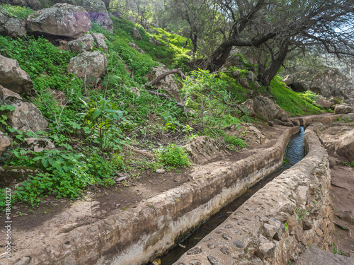 Footpath through Lush landscape of Barranco de los Cernicalos along small water stream. Gran Canaria, Canary Islands, Spain photo