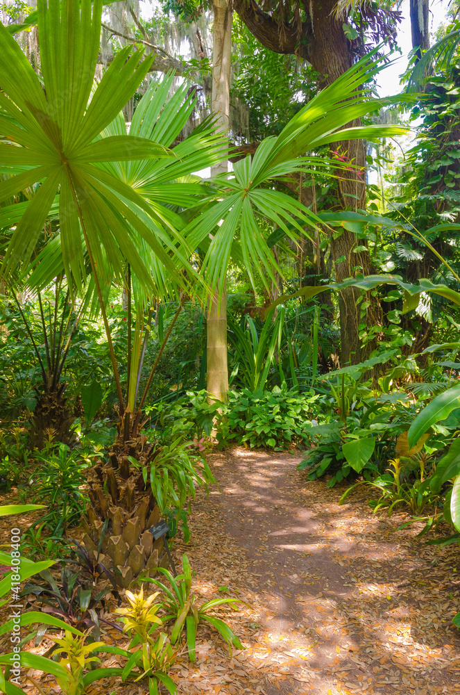 Obraz premium USA, Florida. Tropical garden.