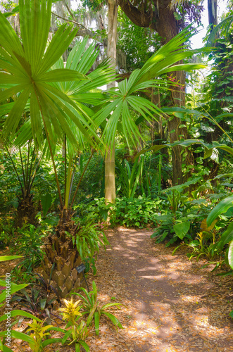 USA, Florida. Tropical garden.