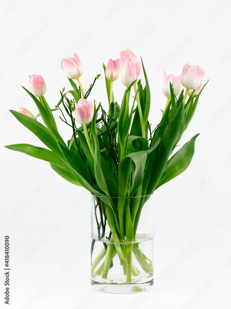 Hellrosa Tulpen in einer Glasvase vor weißem Hintergrund