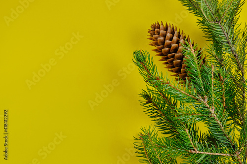 Pine branch and cone on yellow background