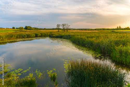 Fototapeta Naklejka Na Ścianę i Meble -  Summer sunset over rural pond or overgrown lake
