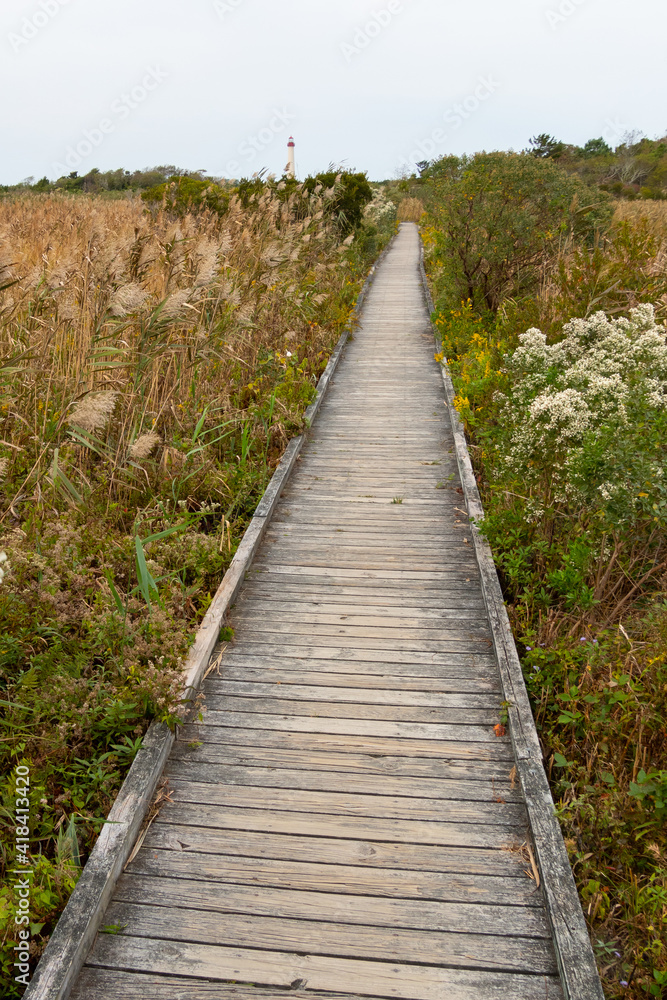 Boardwalk across the dunes and wetlands at a park in Cape May, New Jersey, USA