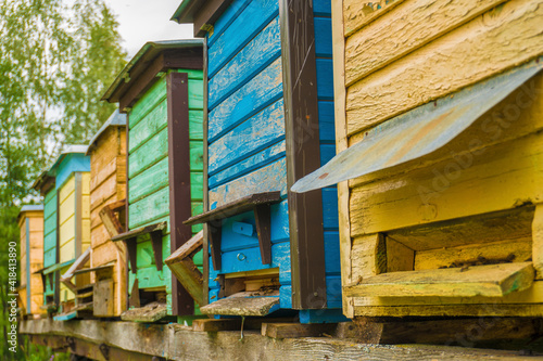 colorful wooden beehives and flying bees
