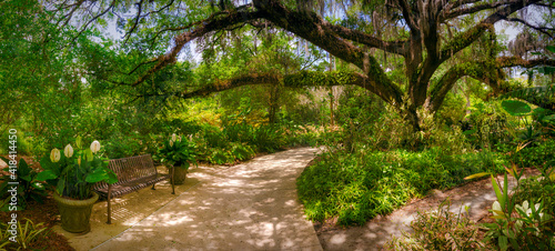 USA  Florida. Botanical gardens  Washington Oaks Gardens State Park.