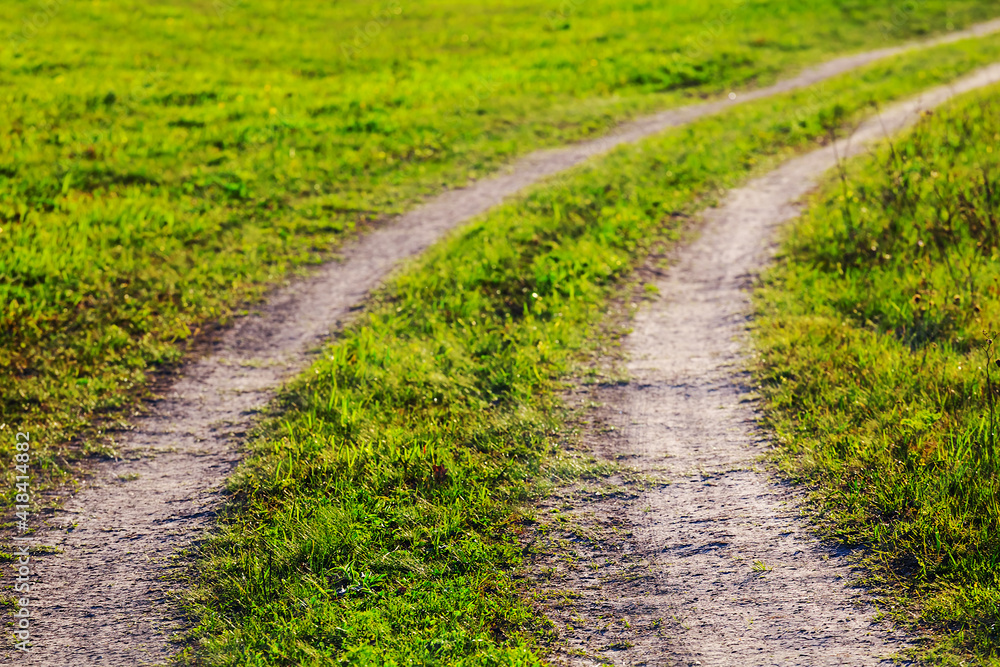 ground road turn among green prairies