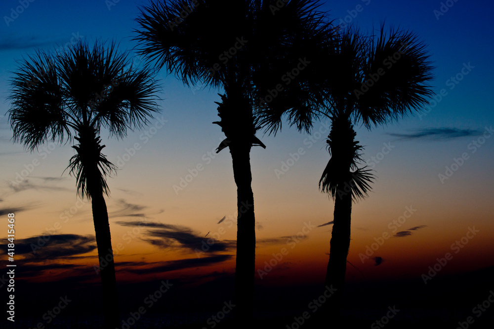 Obraz premium USA, Florida, Sarasota, Crescent Beach, Siesta Key, Sunset
