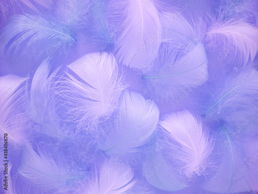 Abstract blurred background in pastel color. The delicate fluffy texture of a bird's feather. Soft focus Artistic design Abstract blurred background in pastel color. The delicate fluffy texture of a bird's feather. Soft focus Artistic design