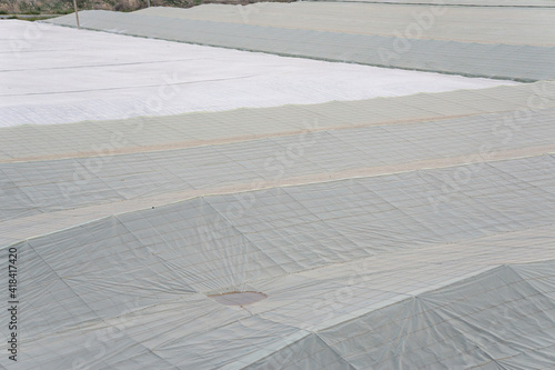 set of greenhouses in Almeria