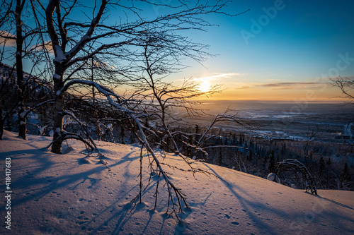 Sunset in the winter forest in the snowy expanses