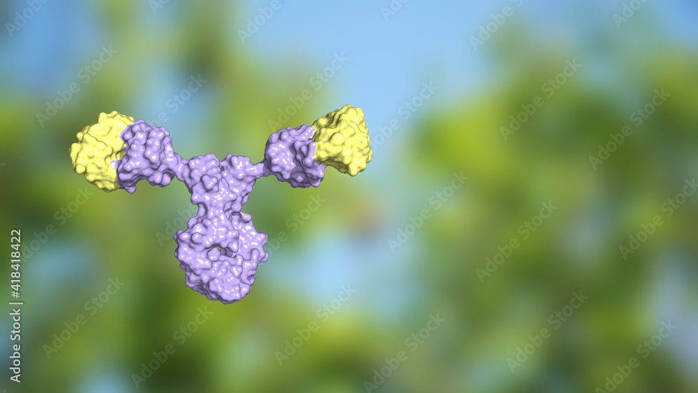 IgE antibodies respond to allergic reactions; IgE immunoglobulins with variable domains colored yellow against green background 3d render IgE antibodies respond to allergic reactions; IgE immunoglobulins with variable domains colored yellow against green background 3d render