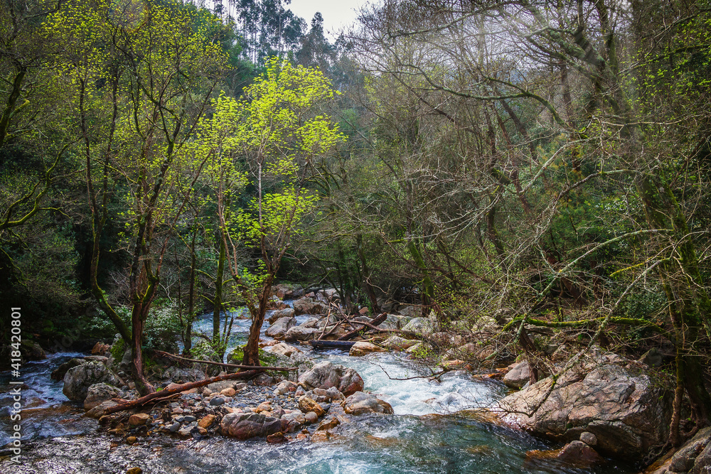 Beautiful river stream in the forest. Waterfalls and silky river stream in the mountain gorge of Fragas de Sao Simao - Aldeias de Xisto - Portugal Beautiful river stream in the forest. Waterfalls and silky river stream in the mountain gorge of Fragas de Sao Simao - Aldeias de Xisto - Portugal