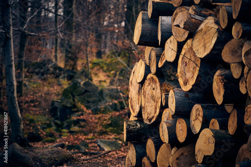 Bale drewna Wood logs 
