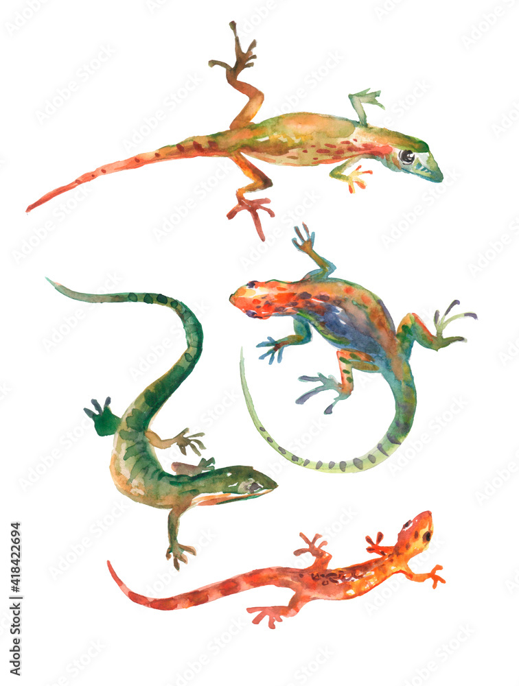watercolor hand drawn set of chinese dragon on white background watercolor hand drawn set of chinese dragon on white background