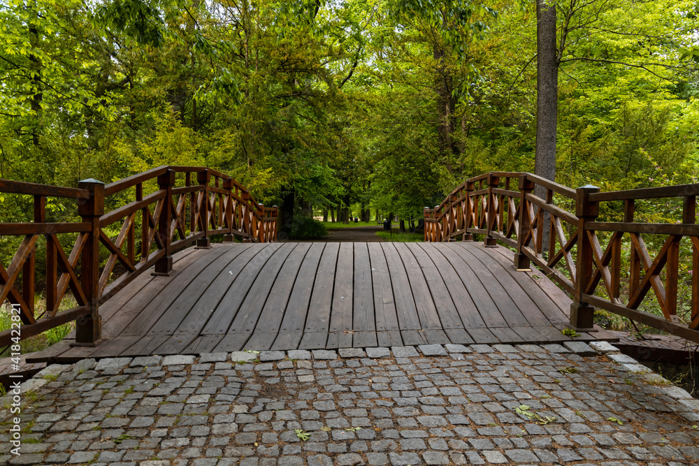 Small wooden bridge in old park full of trees and bushes Small wooden bridge in old park full of trees and bushes