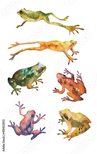 watercolor hand drawn set of frogs © Маргарита Шевчишена