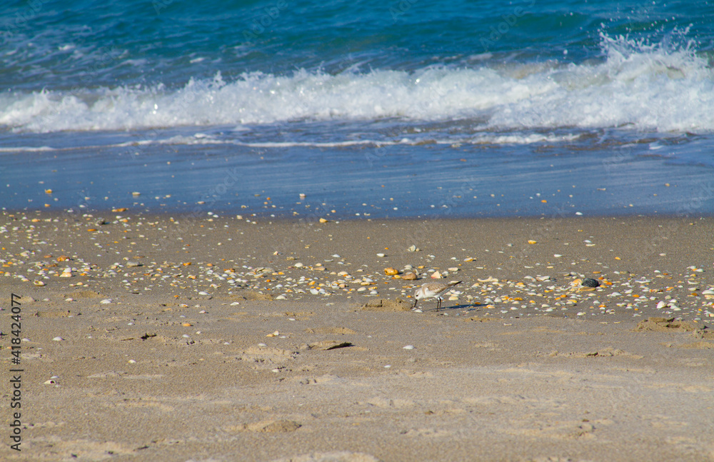 Waves and sand at Jupiter Beach, Florida. Waves and sand at Jupiter Beach, Florida.