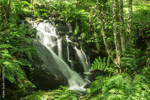 waterfall in a green forest in spring