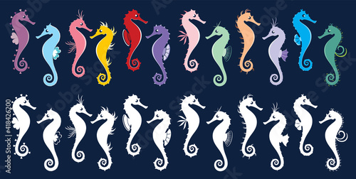 Sea Horses