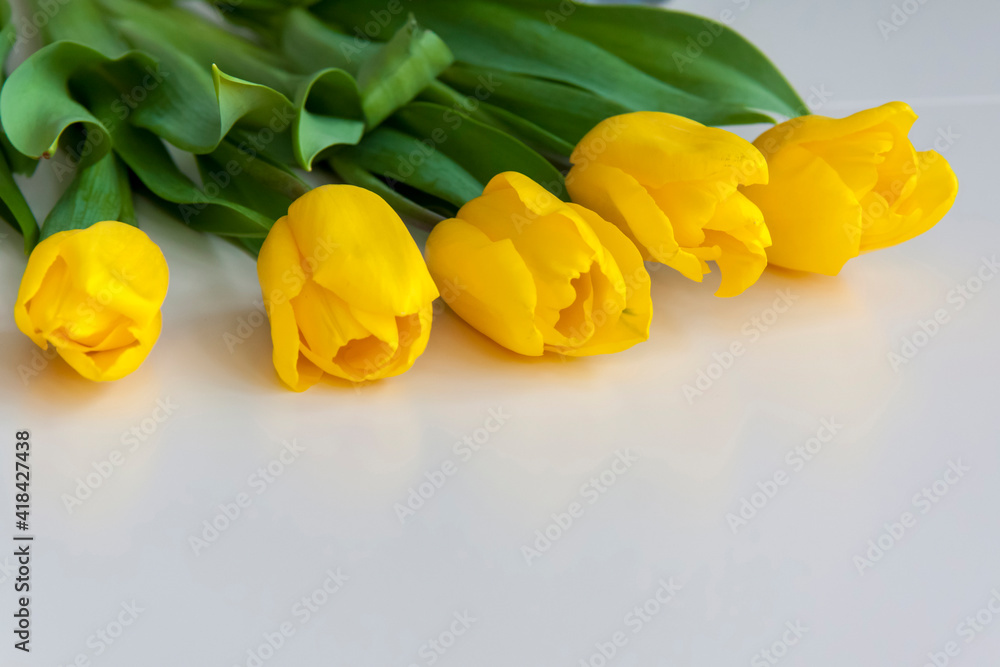A bouquet of fresh yellow tulips on a light background. Spring flowers in the interior. The concept of spring or holiday, March 8, International Women's Day, A bouquet of fresh yellow tulips on a light background. Spring flowers in the interior. The concept of spring or holiday, March 8, International Women's Day,