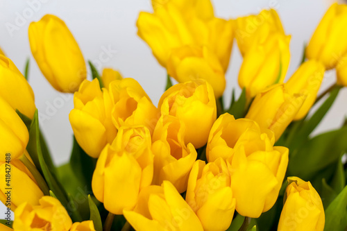 A bouquet of fresh yellow tulips on a white isolated background. Spring flowers in a vase. The concept of spring or holiday, March 8, International Women's Day