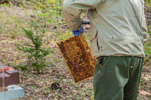 ein Imker arbeitet mit Bienenwaben, die voller Bienen sind © Robert Leßmann