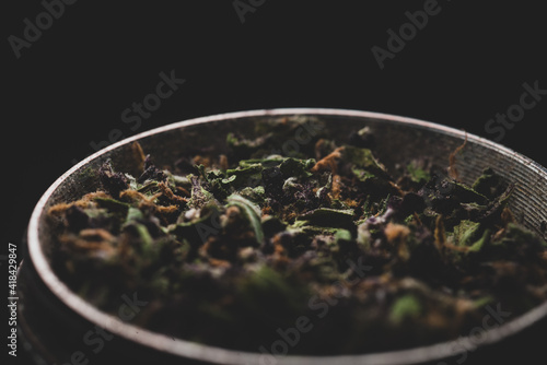 Purple Haze Cannabis Marijuana inside a grinder