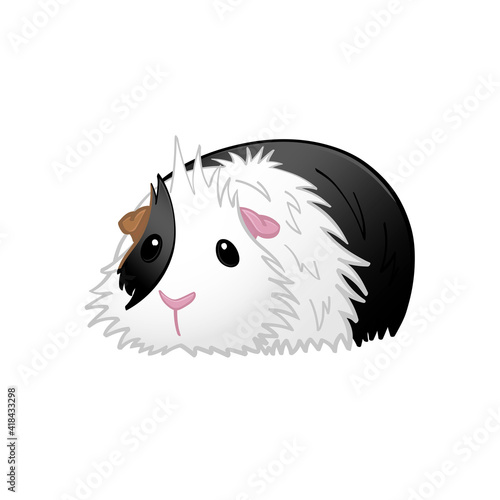 Cute Guinea Pig Vector Illustration 