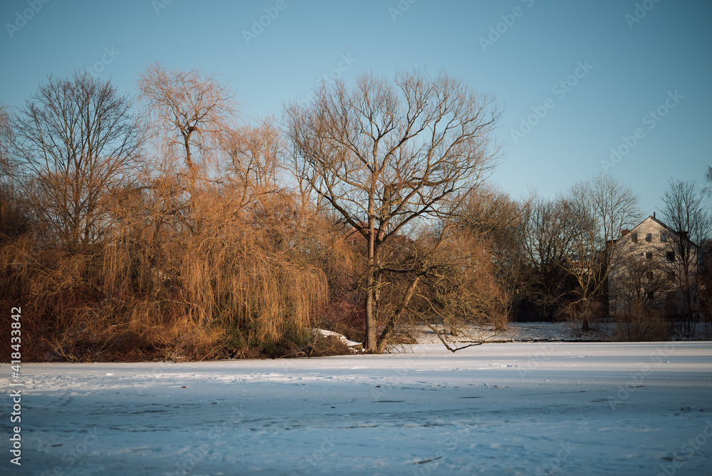 Steilshoop Appelhoffweiher lake in Hamburg in winter Steilshoop Appelhoffweiher lake in Hamburg in winter