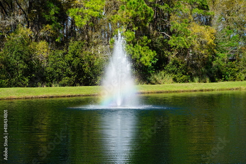 The spring landscape in Florida