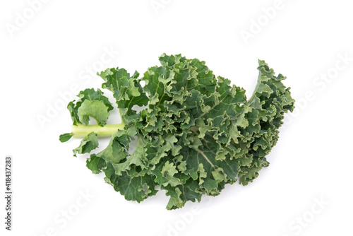 Fototapeta Naklejka Na Ścianę i Meble -  Fresh green leaf kale vegetable isolated on white background. Healthy food concept