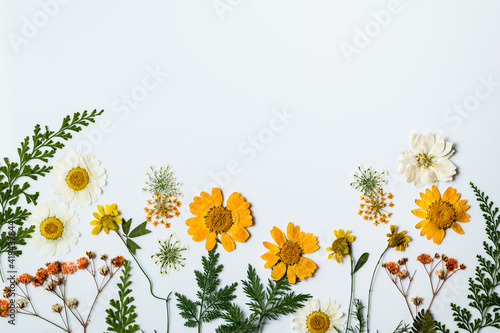 Dried Spring Flowers Flat Lay with light background and copy space