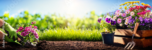 Vászonkép Gardening