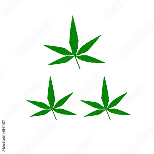 Marijuana leaves on a white background  illustration