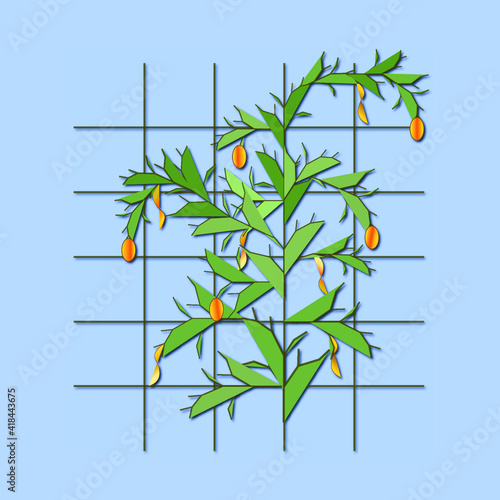 Abstract illustration of a vining plant growing on a trellis, with yellow and orange fruit and seed pods, on a blue background