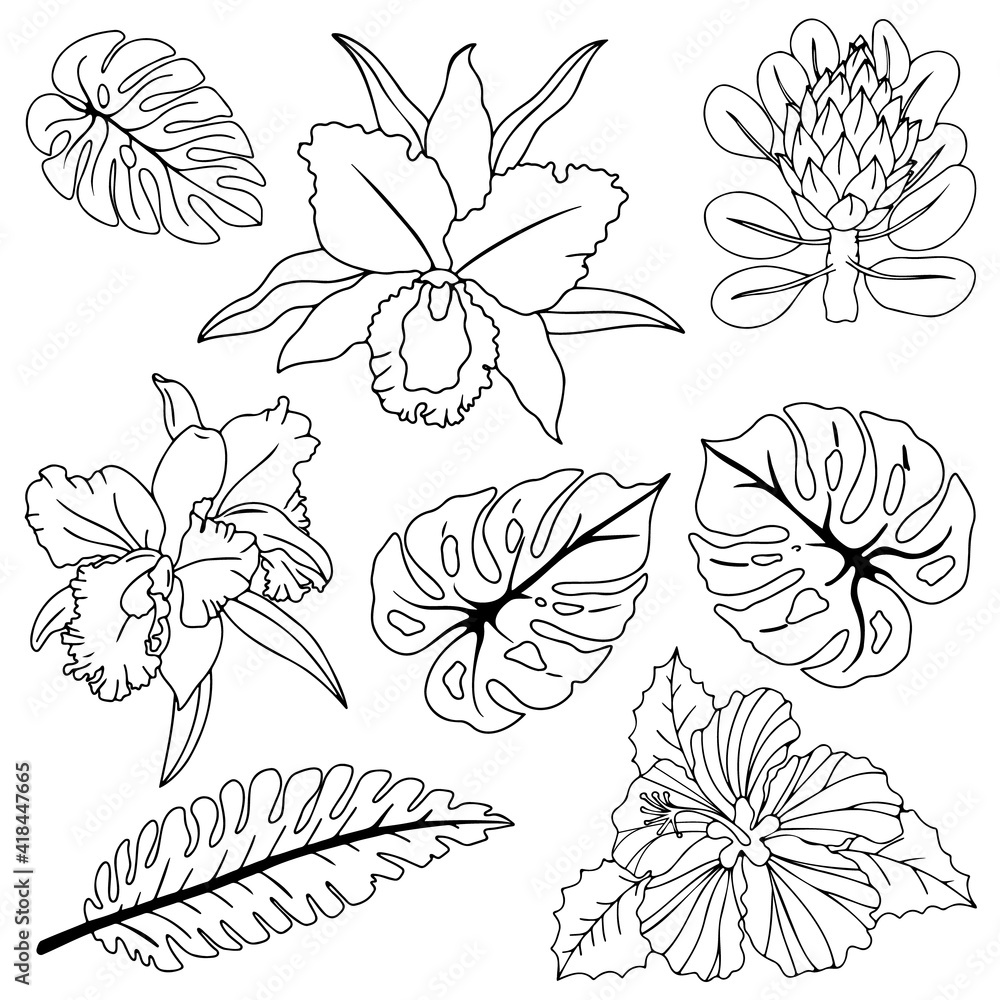Set of simple doodle-style illustrations with a tropical theme