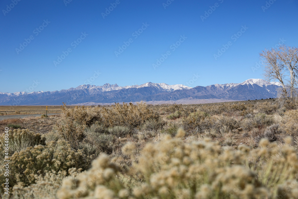 mountain landscape with desert