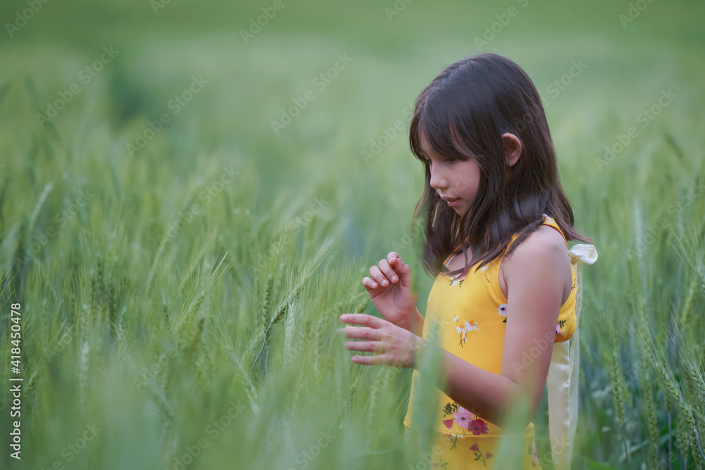 Happy girl in the barley field A growing green Happy girl in the barley field A growing green